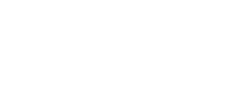 Vera Digital 1000 Pentesters client logo