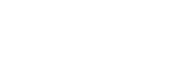 Vera Digital Ecco Solar client logo