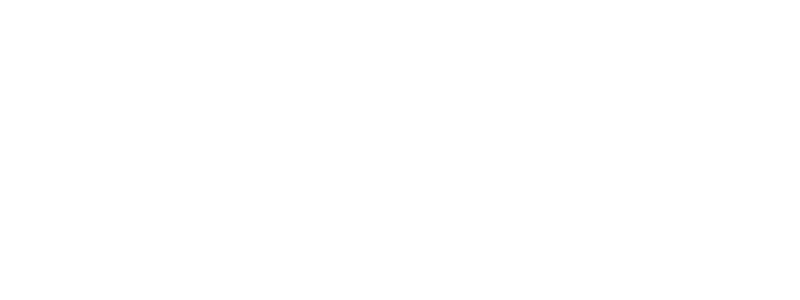 Vera Digital PSI client logo